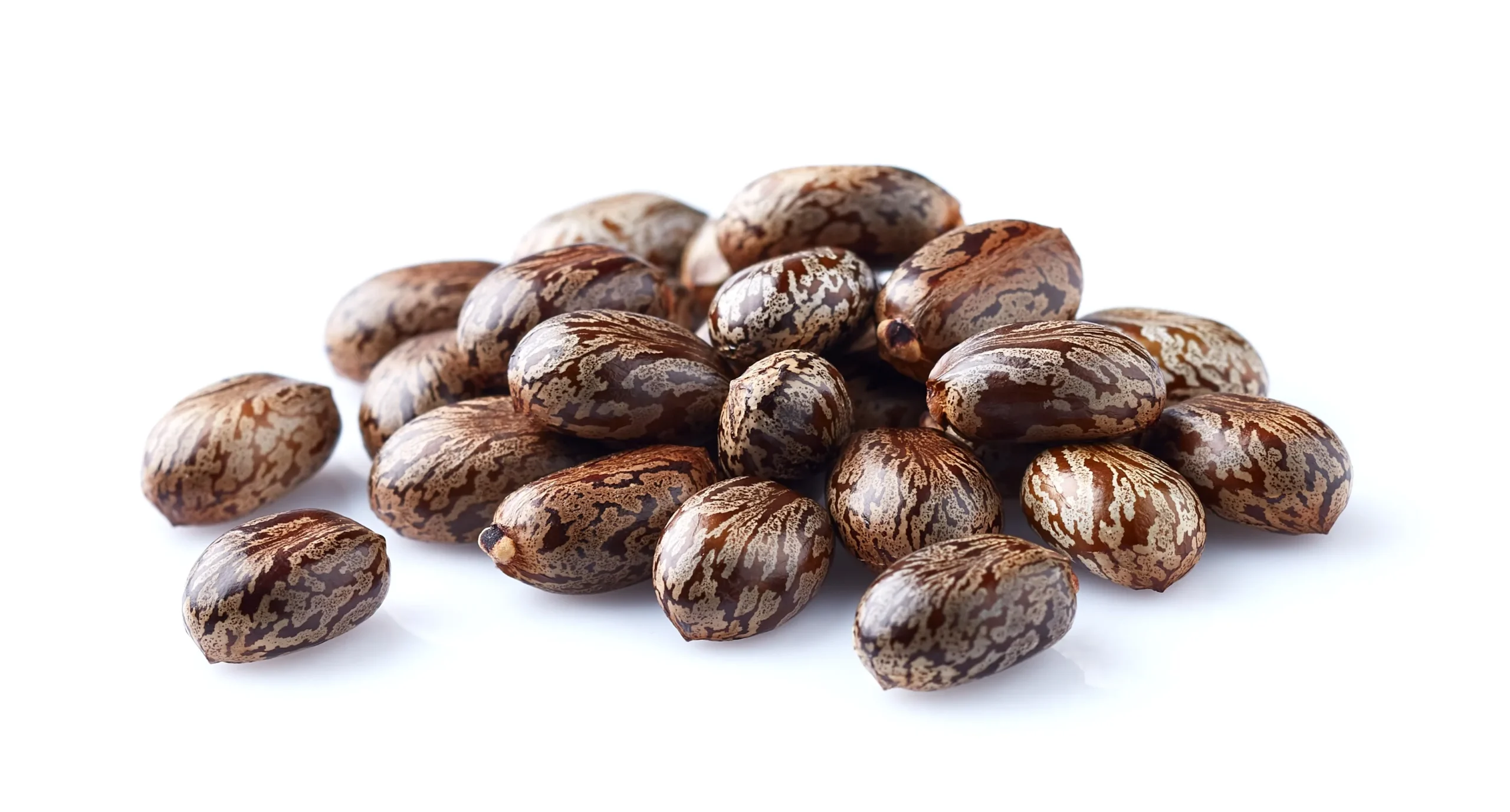 Castor Oil Derivatives