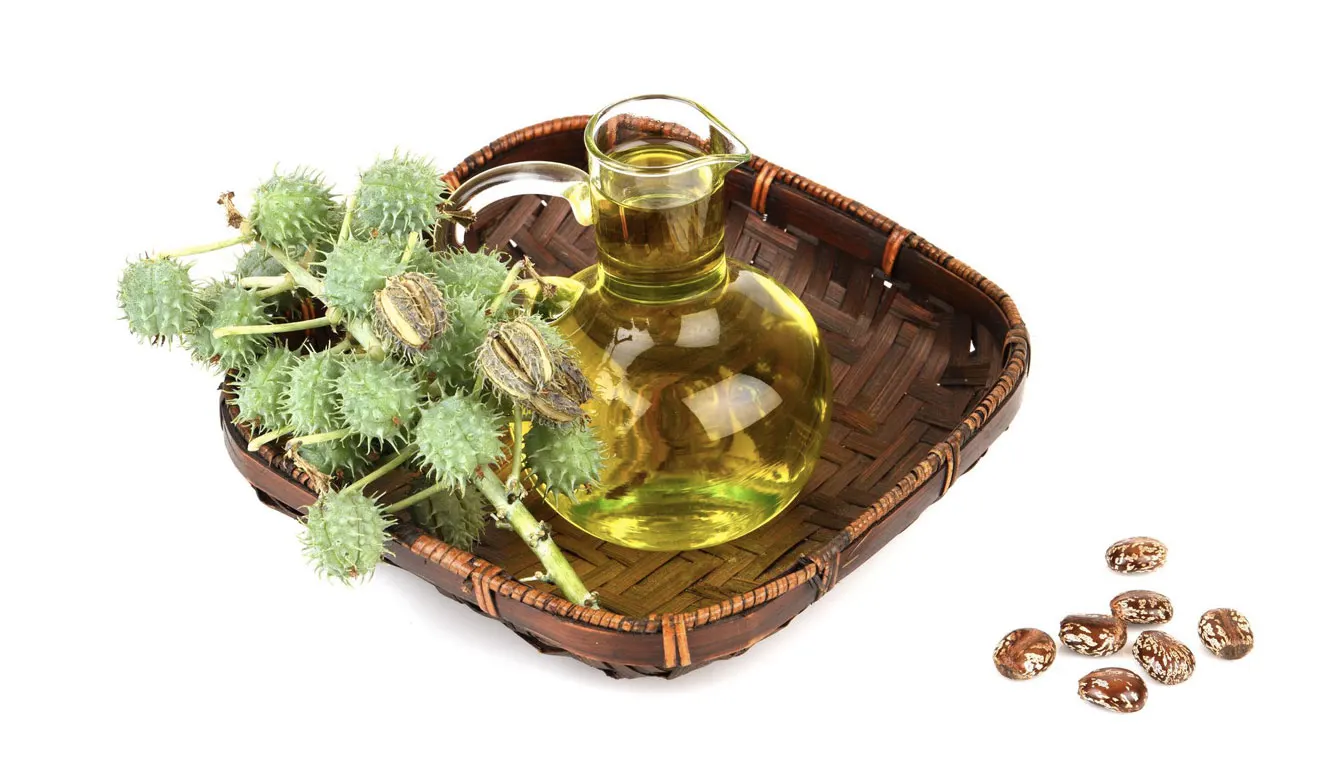 Castor Oil