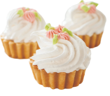 Food Emulsifiers