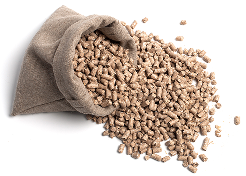 Animal Feed